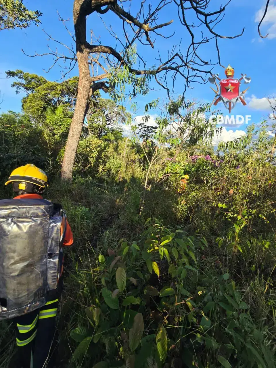 Bombeiros resgatam homem ferido em área rural de Brazlândia