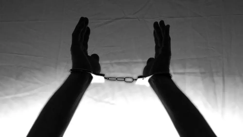 Brasileiros presos na Islândia por ação contra caça de baleias